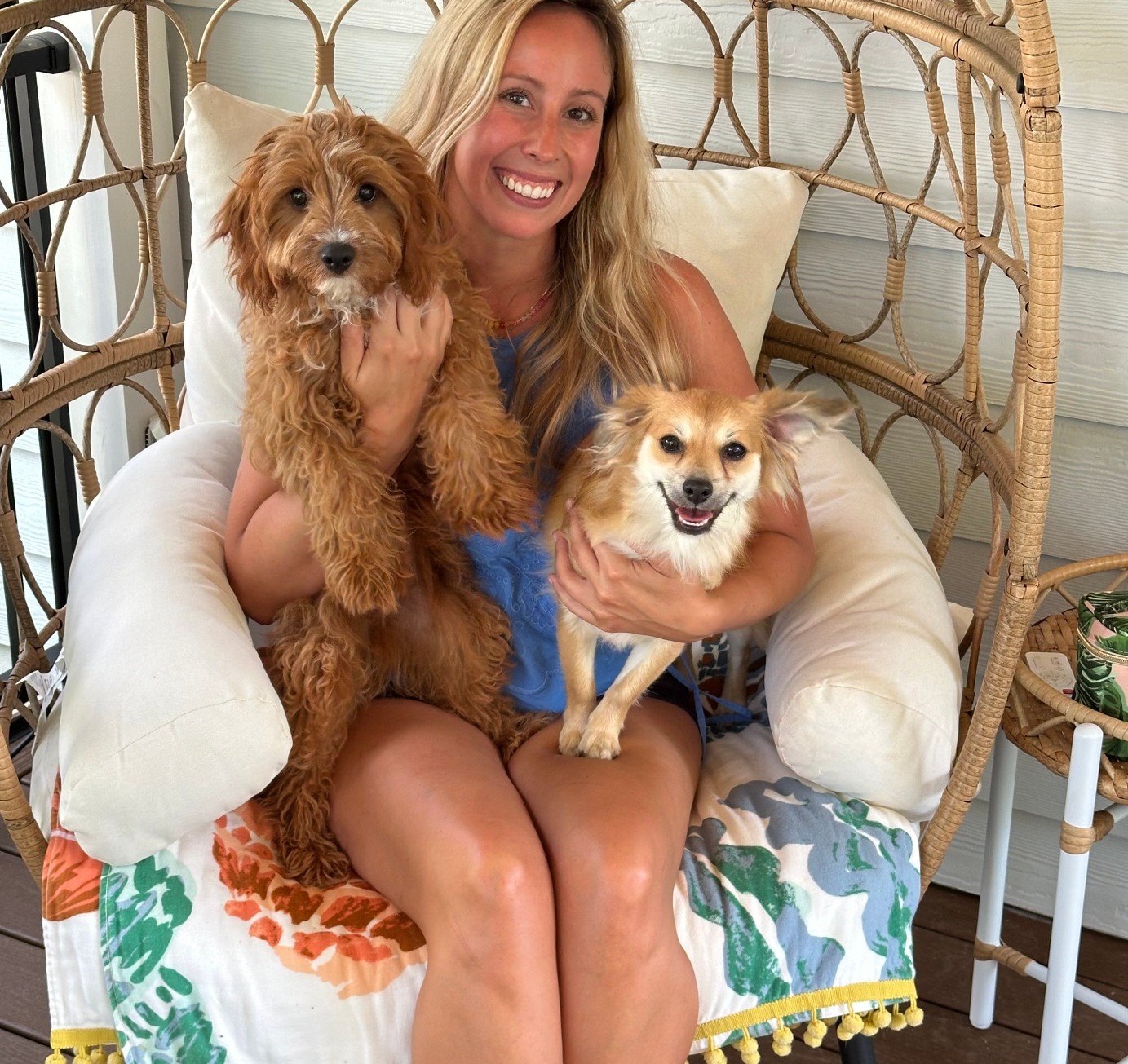 A happy golden dog and a calico cat sitting together